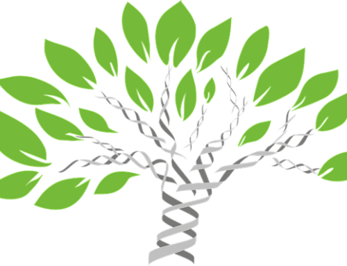Genealogy Roundup, July 8
