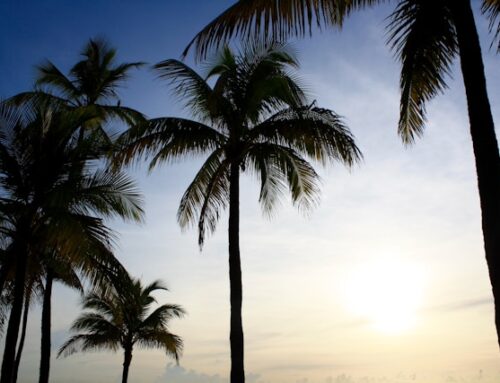 Genealogy Roundup, October 8